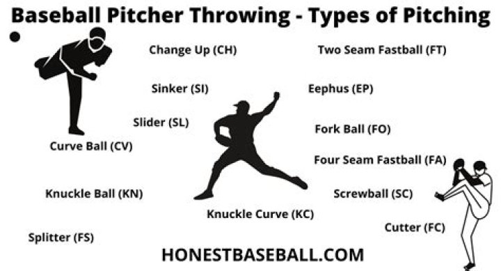 Whats the most pitches thrown in a game?