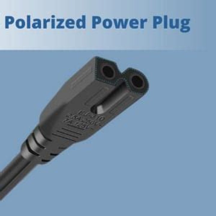 When did polarized plugs become standard?