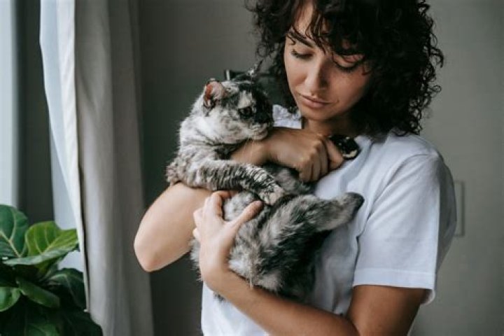When do kittens start purring?