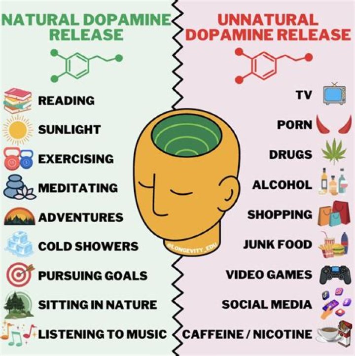When dopamine is released?