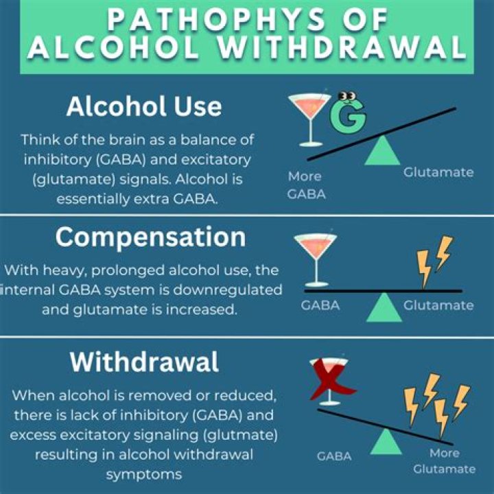 When is alcohol most teratogenic?