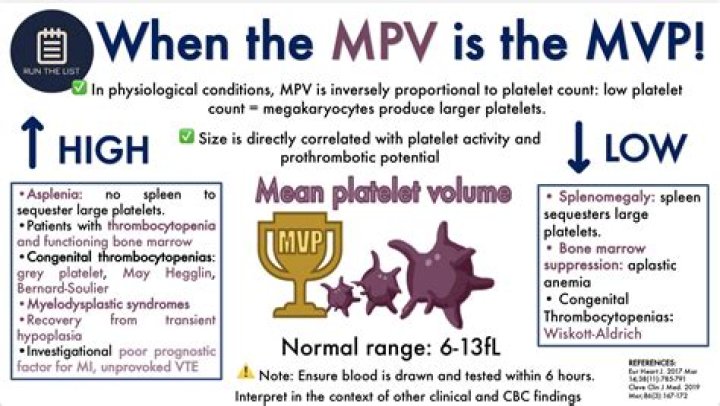 When mpv is high?