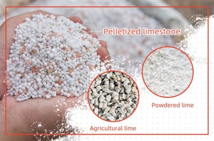 When to use dolomitic lime?