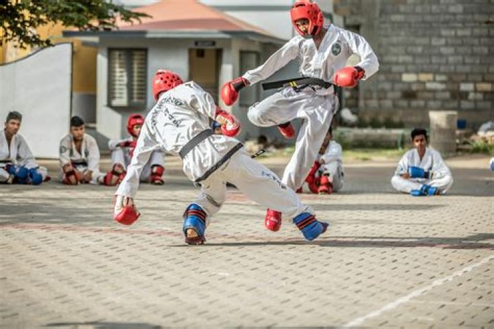 When was taekwondo introduced to nigeria?