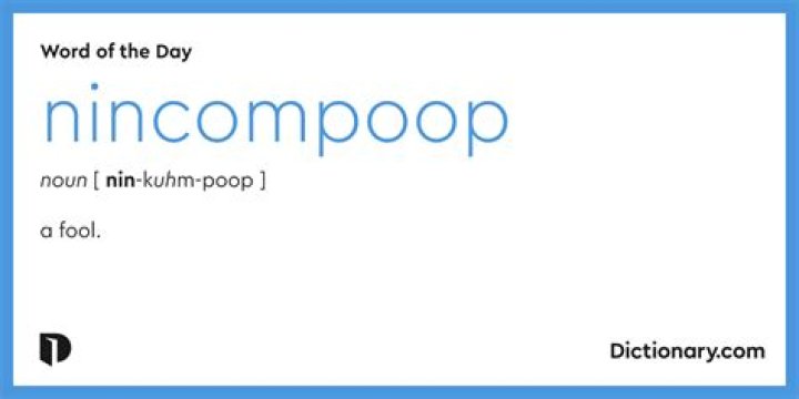 When was the word nincompoop originate?
