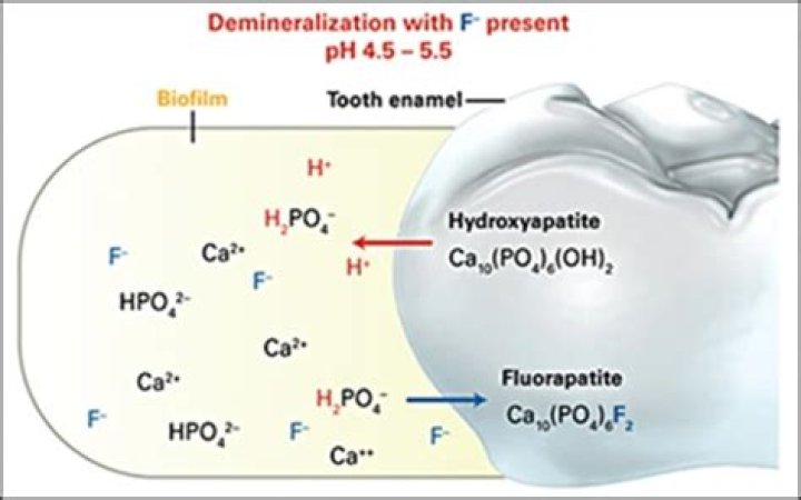 Where can fluorapatite be found?