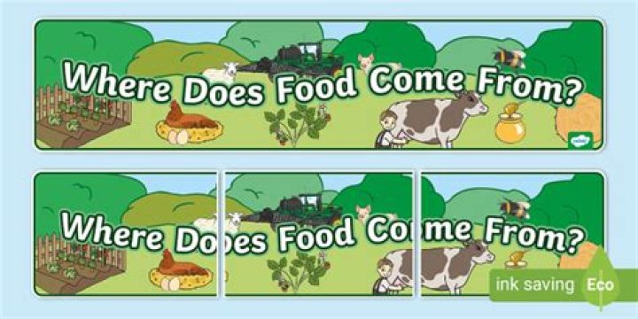Where do amebas come from?