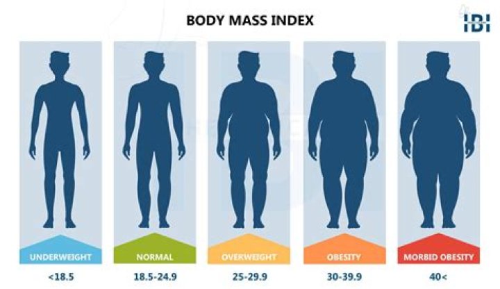 Where does fatness come from?