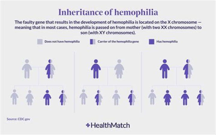 Where does hemophilia come from?