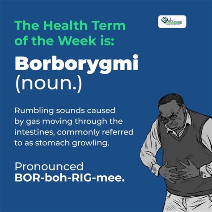 Where does the word borborygmi come from?