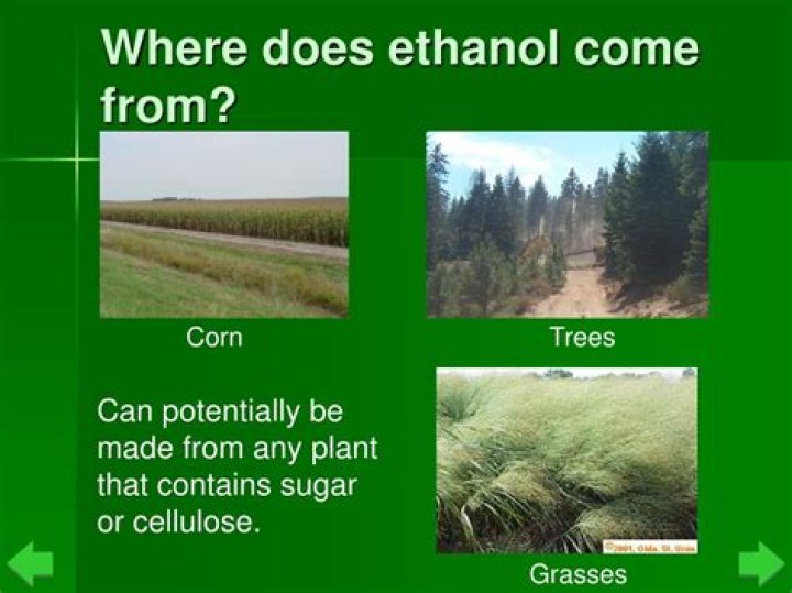 Where ethanol comes from?