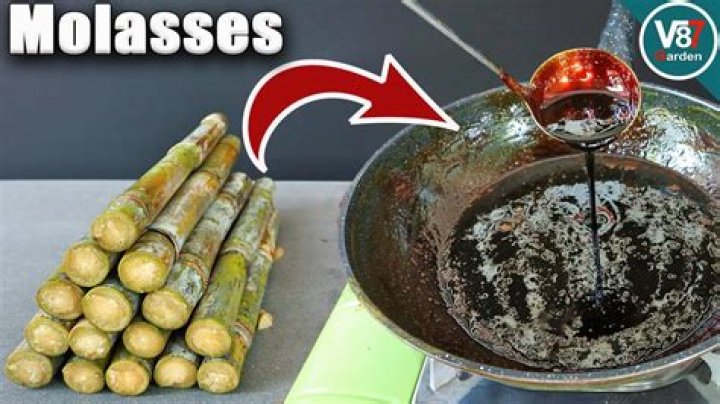 Where molasses come from?