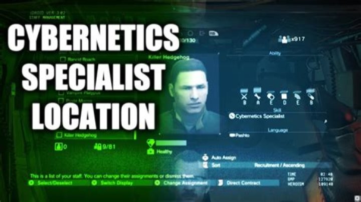 Where to find the cybernetics specialist?