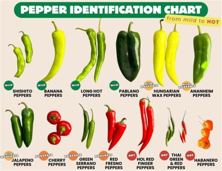 Which are serrano peppers?