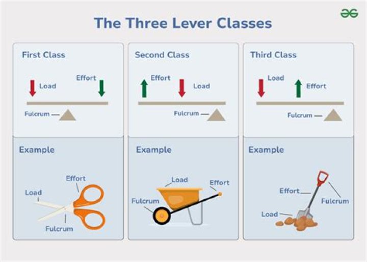 Which is the third class lever?