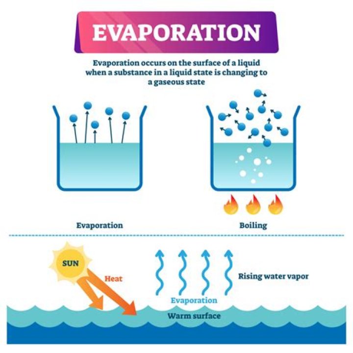 Which liquid has the highest rate of evaporation?