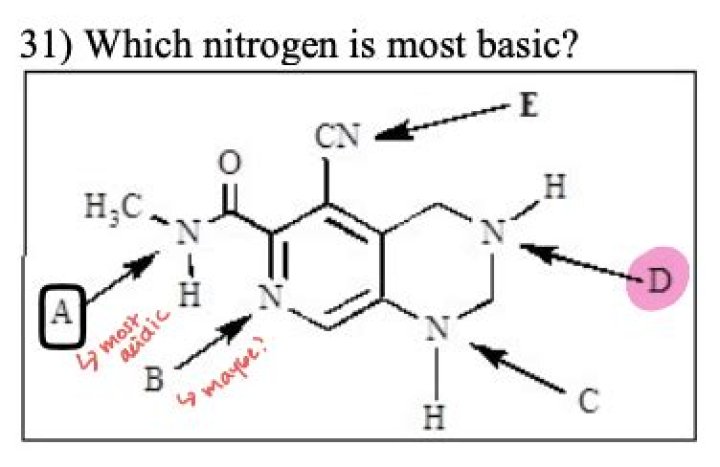 Which nitrogen is most basic?
