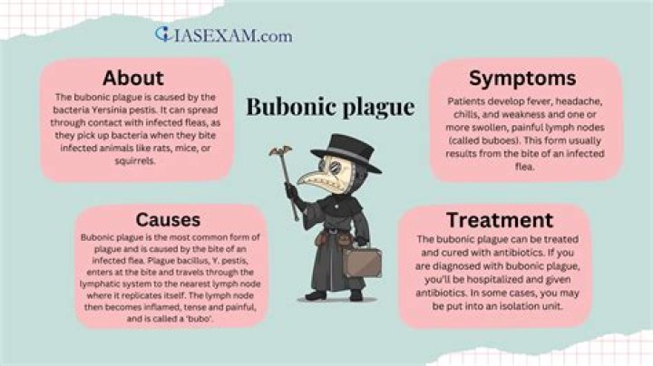 Which of the following was a telltale symptom of the bubonic plague?