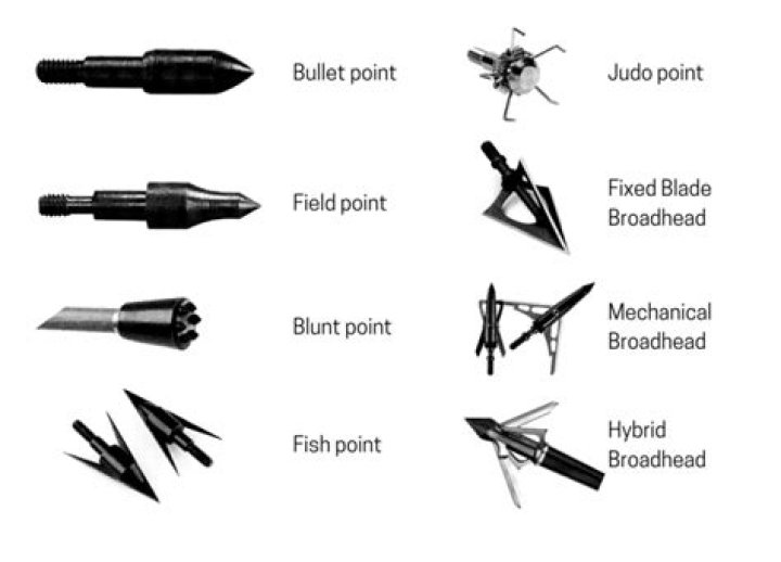 Which vanes for broadheads?
