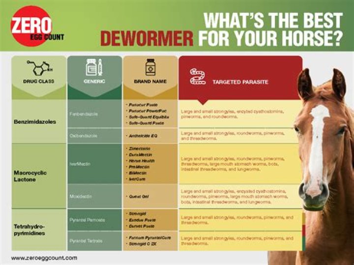 Which wormer kills pinworms in horses?