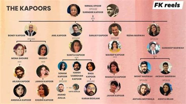 
Who are Shahid Kapoor Parents? Shahid Kapoor Biography, Parents Name and More 