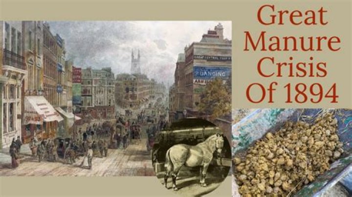 Who is cow manure?