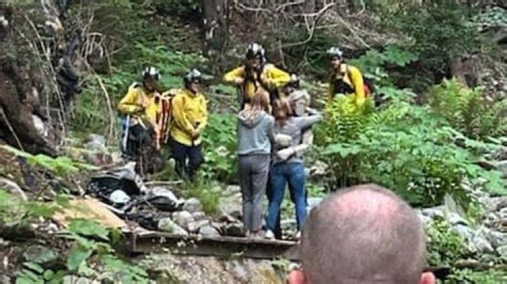 
Who Is Jimmy Perrin? Essex Missing Person Body Found In Cheshunt 