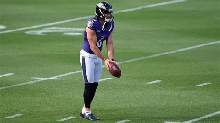 Who is the ravens punter?