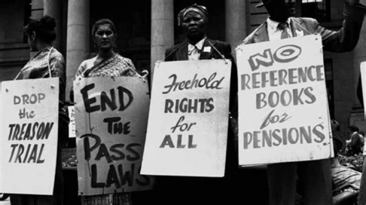 Who was affected by the pass laws and how?