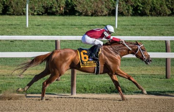 Who was the fastest race horse ever?