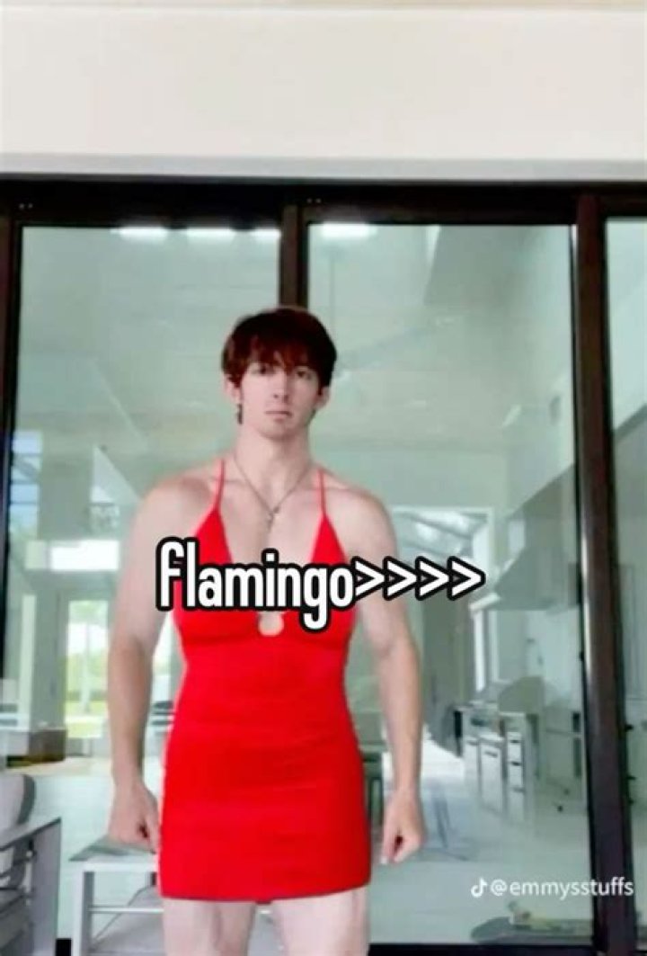 Why did flamingo die?