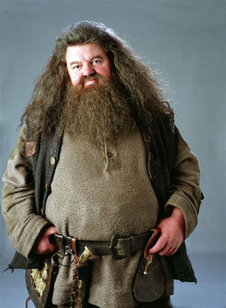 Why did hagrid go to azkaban?