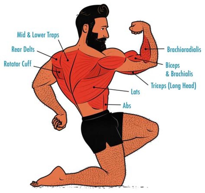 Why does doing a belly flop hurt?