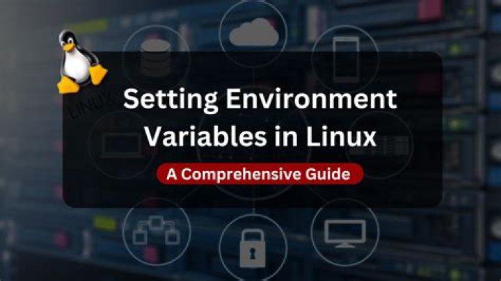 Why set environment variables in linux?