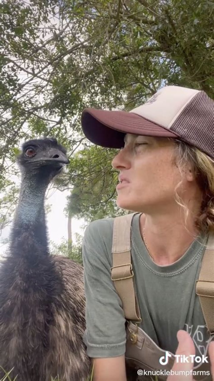 Why Was Emmanuel The Emu’s Owner Taylor Blake Cancelled On TikTok? Controversy Explained