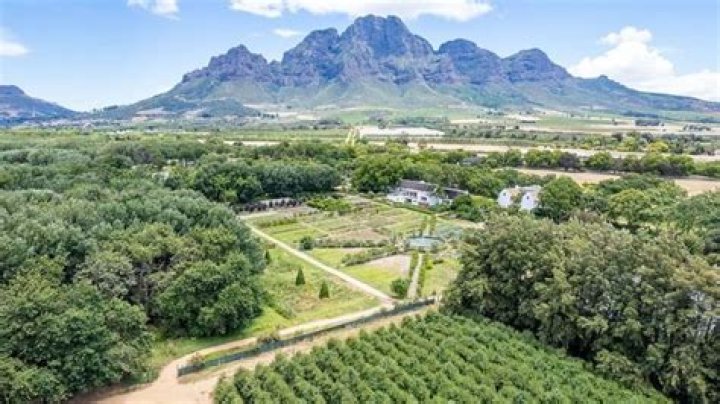 Why was stellenbosch established?