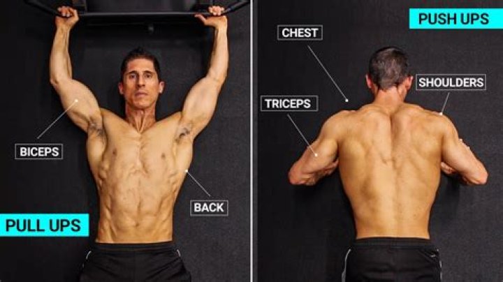 Will dips and pull ups build muscle?