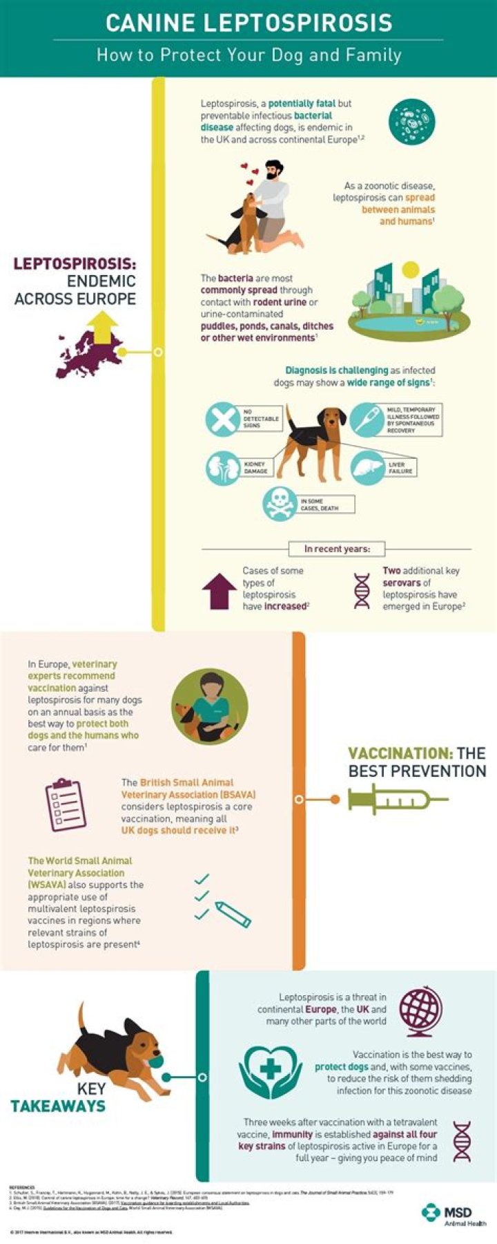 Will leptospirosis go away?