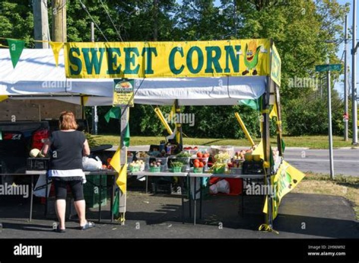 Will sweet corn stand back up?