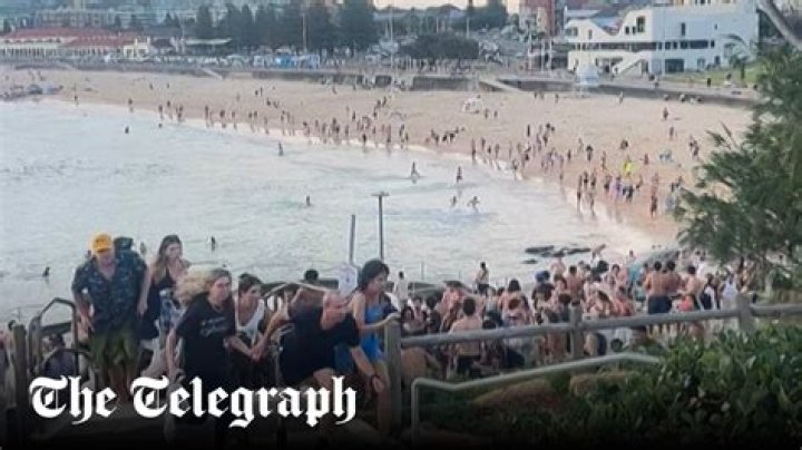 
Wilson High School Long Beach Shooting-What happened? 