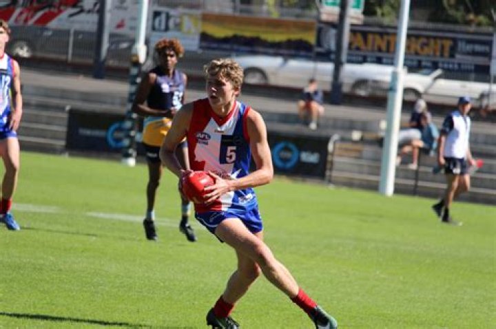 
Xavier Duursma Height, Weight, Net Worth, Age, Birthday, Wikipedia, Who, Nationality, Biography 